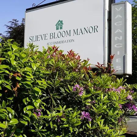 לינה וארוחת בוקר Slieve Bloom Manor
